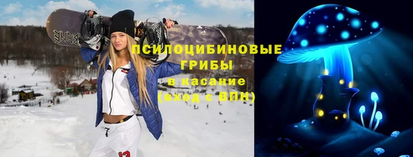 не бодяженный Алексин