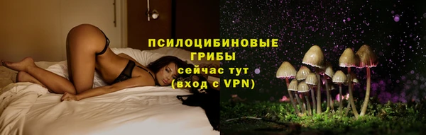 прущие крисы Алзамай