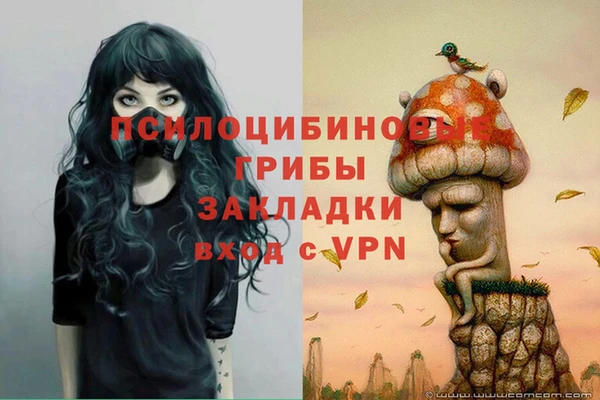 спайс Алексеевка